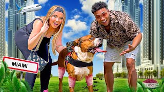 ON A ADOPTÉ UN CHIEN DANGEREUX À MIAMI ! *Emotionnel*