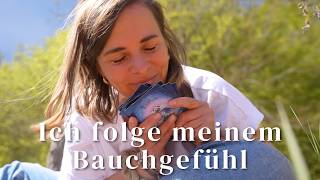 Ich werde es wieder tun