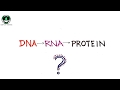 Macromolecules and RNA Functions