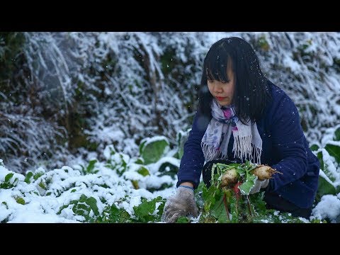 【二米炊煙】用霜凍過的白菜，燉一鍋家常滷肉飯，犒勞一下自己和家人