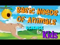 Animal Needs and Adaptations