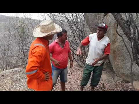 Seu mané e seu antonio encontrão a botija