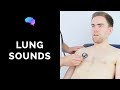 Respiratory Sounds and Conditions