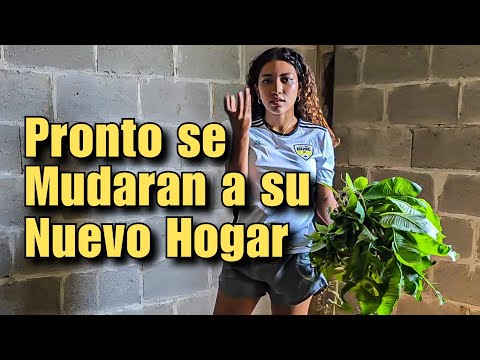 La Hondureña Pone a toda su Familia a Trabajar en su Nueva Casa /Limpieza Profunda