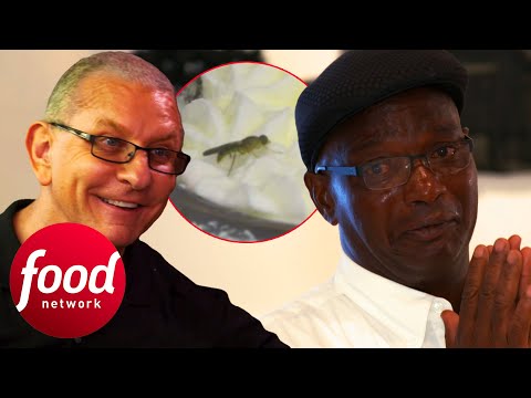 Robert Irvine Helps Owner Rediscover His Passion In Fly-Infested Restaurant | Restaurant Impossible