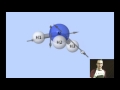 Molecular Polarity and Dipoles