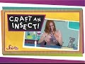 Insect Anatomy and Art Concepts