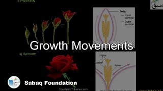Growth Movements