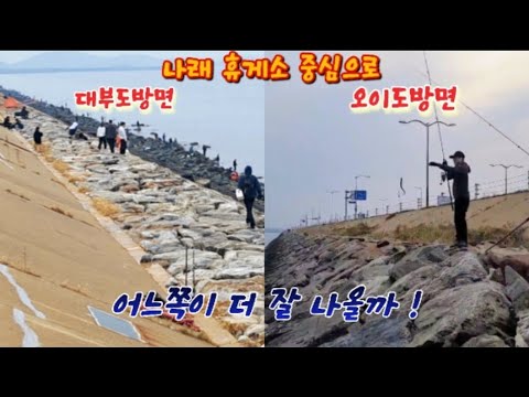 10월 26일 조사님들이 많은 대부도 방향과 한가한 오이도 방향중 어느곳이 낚시하기 좋을까! 