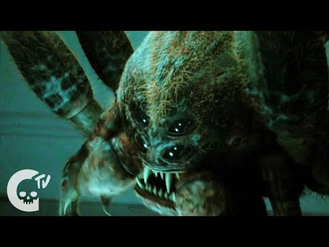Octophobia | Short Film | Crypt TV