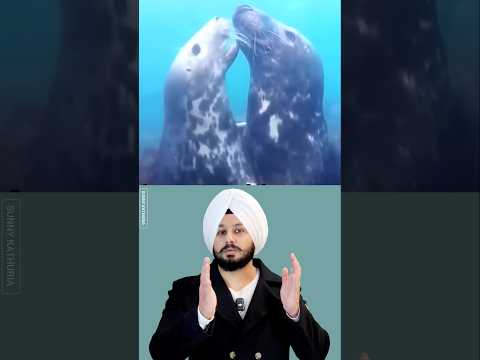 When Animals Show More Humanity Than Humans