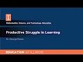 Understanding Productive Struggle in Learning