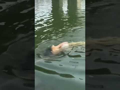 Sinh Vật Lạ Sông Mê Kông #fishing #amazing #cauca365 #short