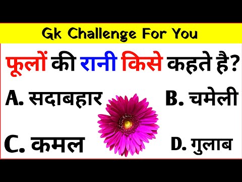 Most Brilliant Answers Of UPSC, IPS, IAS Interview Questions || IPS Interview | #gkstudyadda