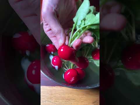 おつまみキャンセル界隈へ捧ぐ… #shorts
