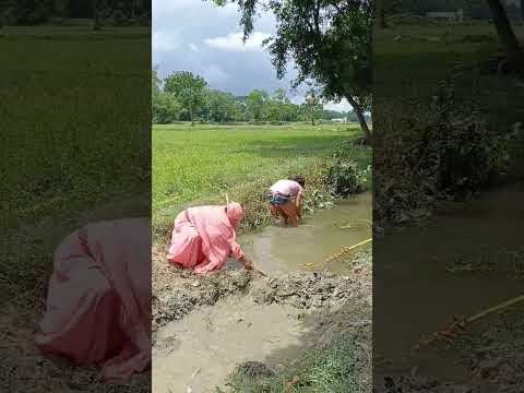 মহিলার কান্ড দেখুন #shortvideo