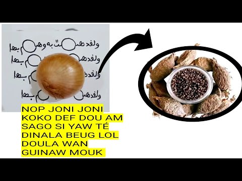 NOP JONI JONI KOKO DÉF DU AM SAGO SI YAW DINALA BEUG LOL TÉ DOULA WAN GUINAW MOUK