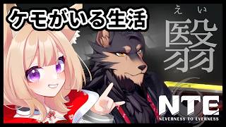 【#NTE】朝活🌤イベント最終日！ #NTE最強ライブパレード【狐森ろべ／VTuber】07