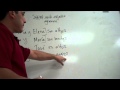 Exploring Verb and Adjective Agreement in Spanish