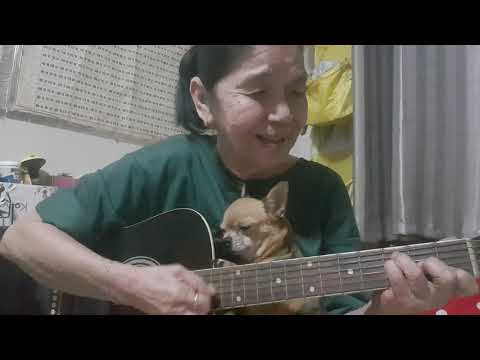 You are my sunshine (cat singing dog sleeping)👵Cover by Malinda...👵