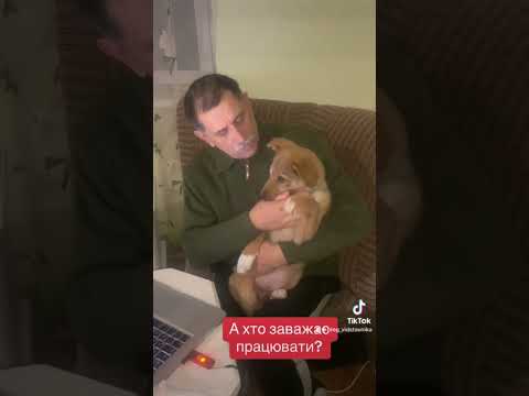 Помічниця