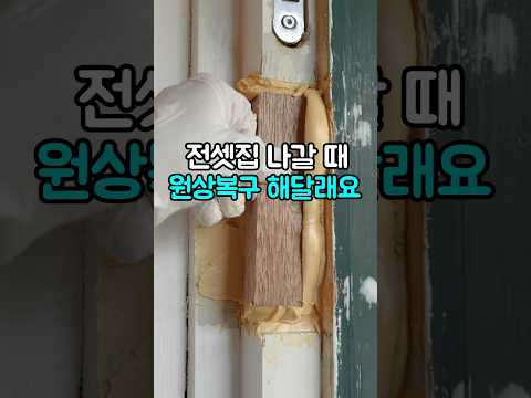 전세 살면서 이거 없으면 그냥 호구 됩니다
