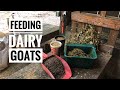 Goat Nutrition and Feeding Practices