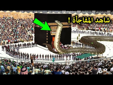 ثعبان ضخم ارسله الله داخل الكعبة ليحمى كنزها 500 عام ثم اختفي ؟ فماذا قال عنه النبي ﷺ ؟ واين اختفى