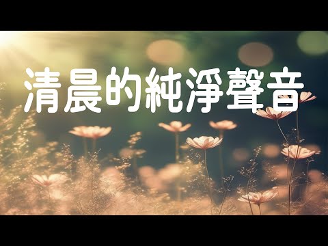 清晨的純淨聲音 - 整天的积极音乐 🎵1小时的沉静音乐，充满正能量的钢琴音乐_早晨的放松音乐，早上康復音樂, 音樂讓您感到舒適