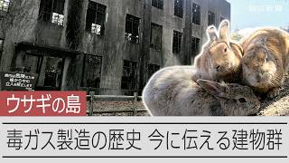 動画サムネイル