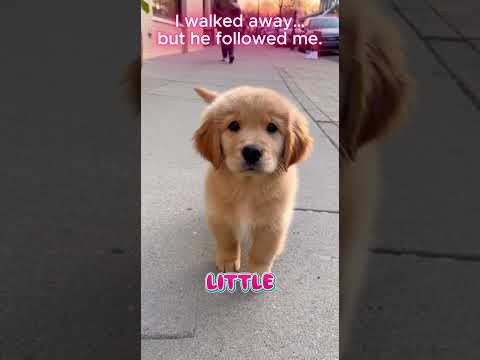 In this moment, humans deserve the title “the spirit of life.” 🐾✨#trend #animals #love