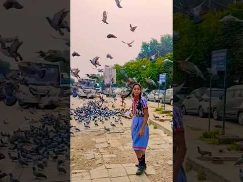 Anaya ko kabutar ghar leke jana hai 🤣😱#shorts