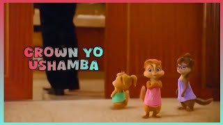 Crown Yo - Ushamba | Tomezz Martommy | Chipmunks & Chipettes