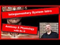 Exploring the Integumentary System: Anatomy and Functions