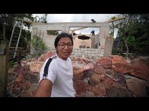 Contratamos mas personal para el proyecto de la Papaya avances de obra