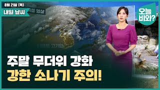 [날씨] "주말 무더위 강화, 강한 소나기 주의!" /금채림 캐스터