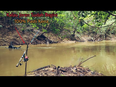 Ganas-Ganasnya Ikan Baung Di Sini ,,! Dapat sungai Seperti Ini Di Jamin 100% Panen Ikan Baung 😱