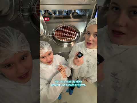 So wird Käse gemacht! | #Shorts | SRF Kids News | Kindervideos