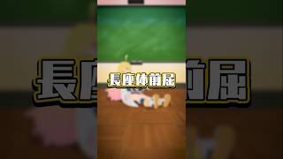 【長座体前屈】体力測定 〜番外編〜 雛星あいる/VEE #vtuber #shorts