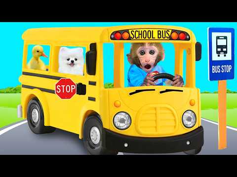 Bebé Mono BonBon Compra Helado de Gelatina Arcoíris y Come Sandía Deliciosa - MONO BONBON ESP