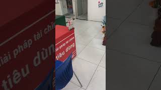 Đàn Anh Vario, Honda Sh Tạm Ngưng Sản Xuất Để Tống Tồn Sẽ Tăng Cao Sau Tết
