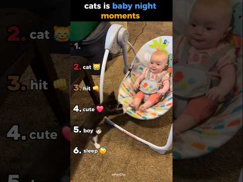 cats is baby night #ranking #funny #cuteanimals #cutecats #catlovers