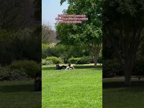 NUEVA CANCIÓN ESTE 6 de junio 🤘🏻