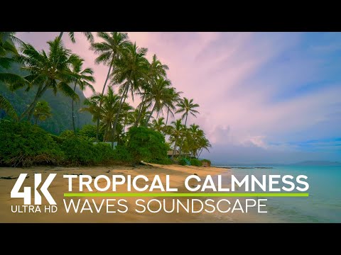 4K Tropical Calm – Gentle Ocean Waves for Inner Peace & Stress Relief by Palm Trees