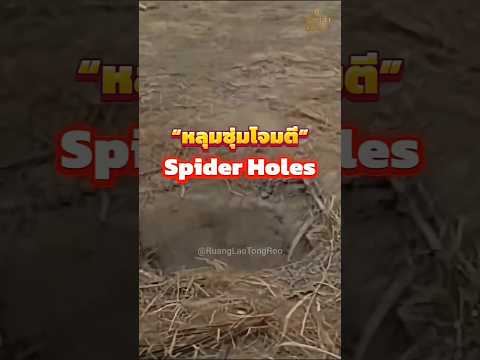 Spider Holes : ศัตรูที่ซ่อนอยู่ใต้ฝ่าเท้า! #shorts