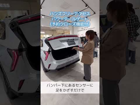 新型INSIGHT 紹介!【ホンダモビリティ南関東】