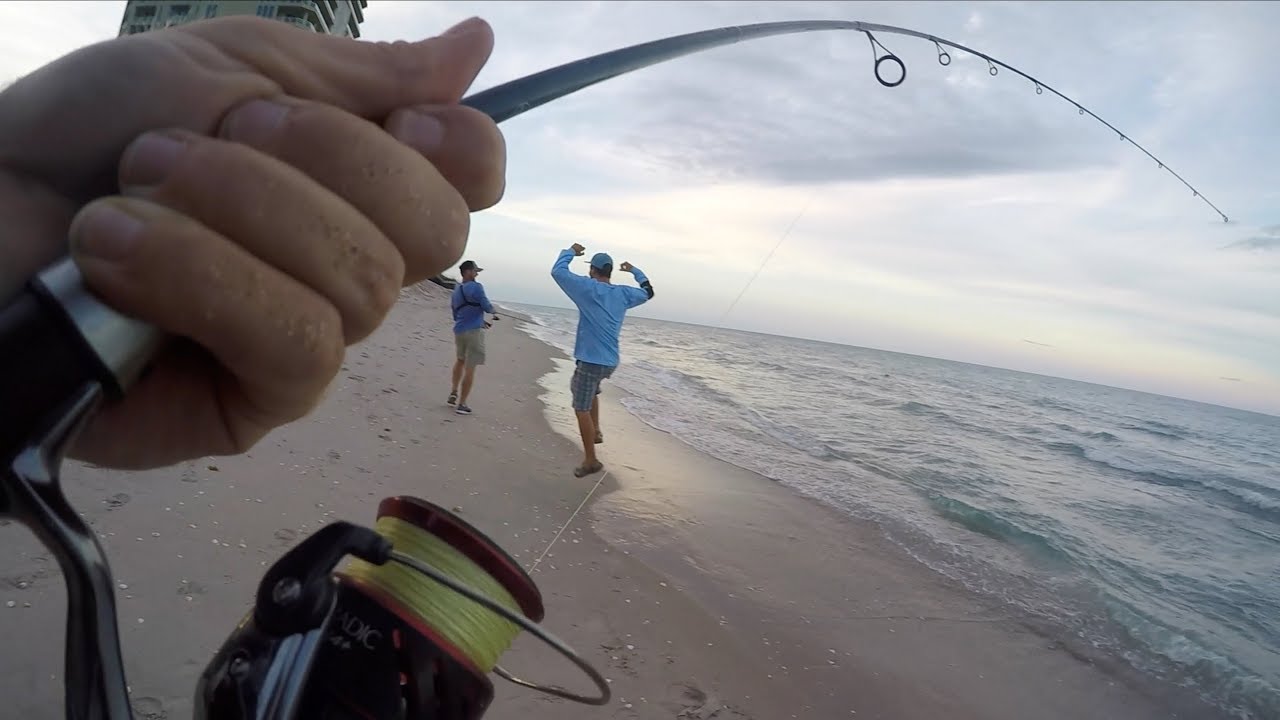 The Unexpected Fish #58
