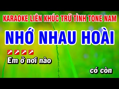 Karaoke Liên Khúc Nhạc Trữ Tình Tone Nam Dễ Hát – Nhớ Nhau Hoài | Hoài Phong Organ