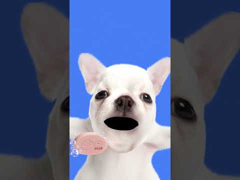 a cookie 🍪 mystery #cookie #pov #fypシ #fypシ゚viral