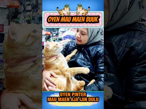 Oyen mau main buk #shorts #shortsvideo
